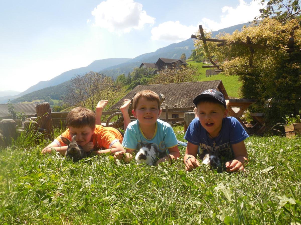 Schweiggerhof -Agriturismo- Farm Holidays Villandro Exteriér fotografie