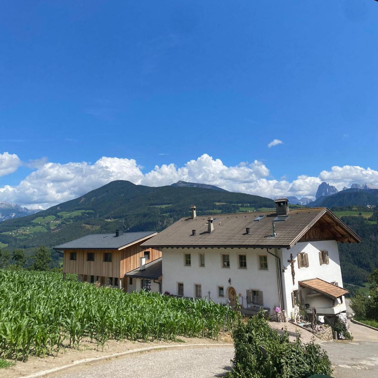 Schweiggerhof -Agriturismo- Farm Holidays Villandro Exteriér fotografie